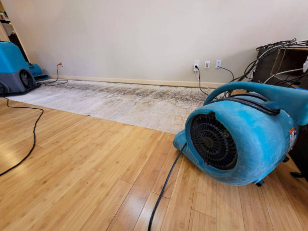 Professional Basement Flood Cleanup technician working in Franklin Square, NY